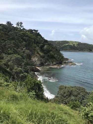 Bay of Islands from an Amateur’s Perspective