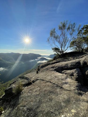 sunrise and fog, Blue Mountains National Park Australia