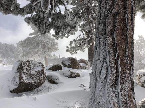 Snow Summit Mtn, Big Bear Lake California