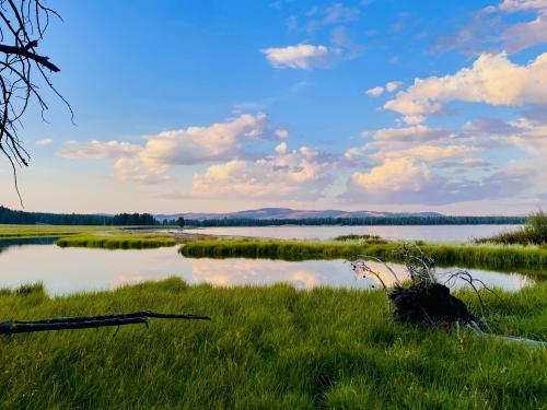 Northwestern bank of Lake Yellowstone, Wyoming