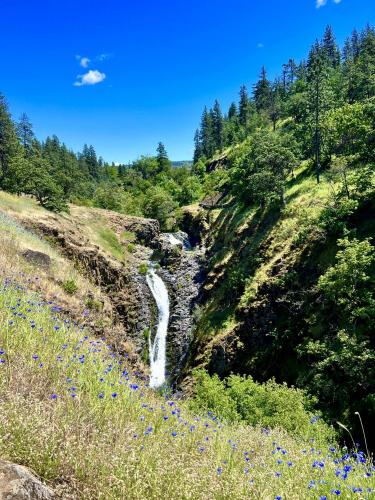 Waterfalls and Wildflowers, Mosier, OR