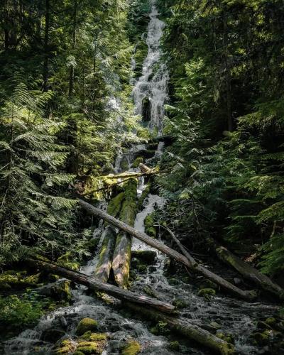 Proxy Falls, Three Sisters Wilderness, OR