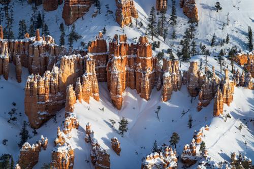 Bryce Canyon, Utah after a fresh coat of snow.