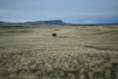 Wide open short grass prairie near Livingston, MT, USA