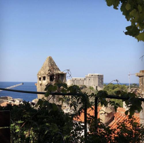 Dubrovnik, Croatia 🇭🇷