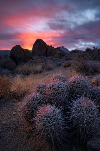 Sunset at Alabama Hills, California [1280x1920] 