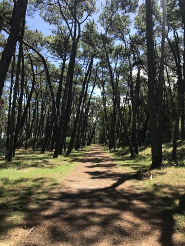 Isla Gorriti, Uruguay