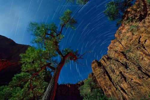 Zion National Park at night