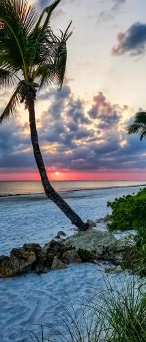 Gorgeous sunset across Ft Myers Beach, Florida 🇺🇸🇺🇸