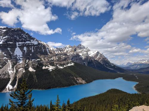 Peyto lake, Alberta, Canada