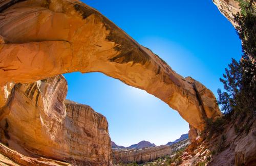 Hickman Bridge, Capitol Reef National Park, Utah