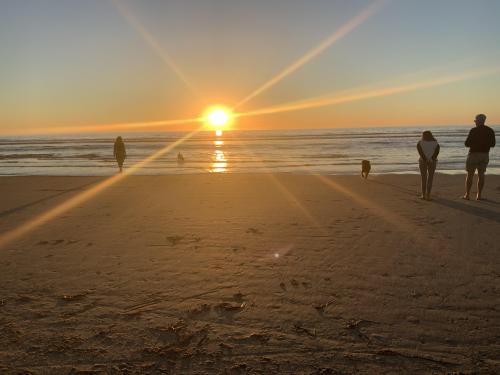 Del Mar City Beach, San Diego County, California