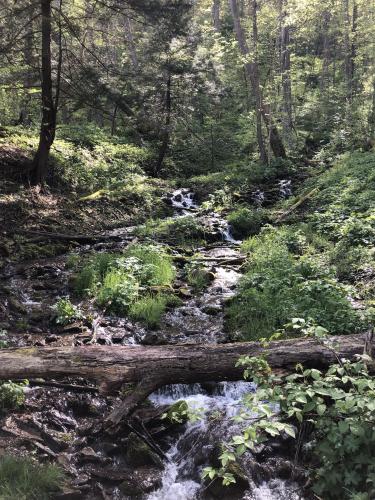 Ohiopyle State Park, PA, USA