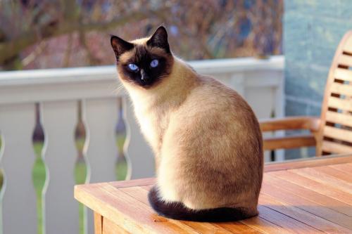 Look at her Eyes
