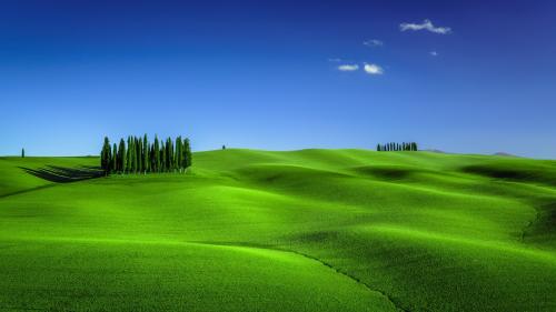 Green Meadows in Tuscany Landscape Scenery