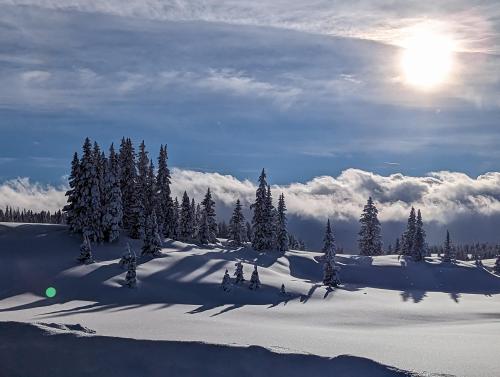 Hwy 65, Grand Mesa, CO. Summit.