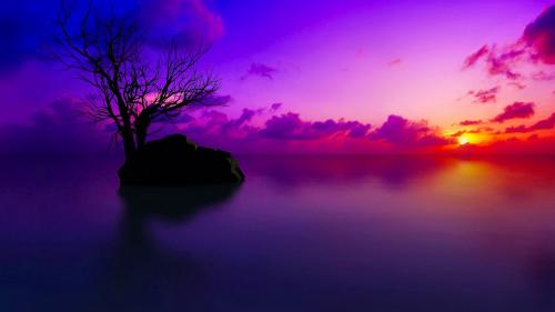 Horizon light Sunset