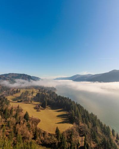 Morning fog running along the Columbia River Gorge, Washington  [2187 × 2733] @itk.jpeg