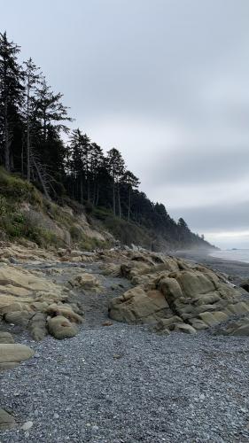 Kalaloch Beach 4, Olympic National Park, Washington