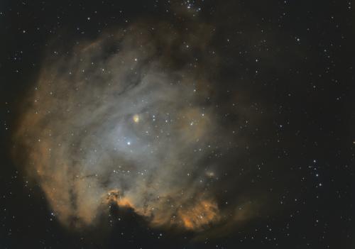 NGC2174 - Monkey Head Nebula