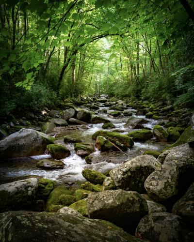 The path up to Mouse Creek Falls in Tennessee is pretty cozy and magical. 4912 × 6140