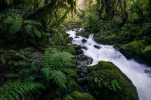 Fiordland, New Zealand. {OC}