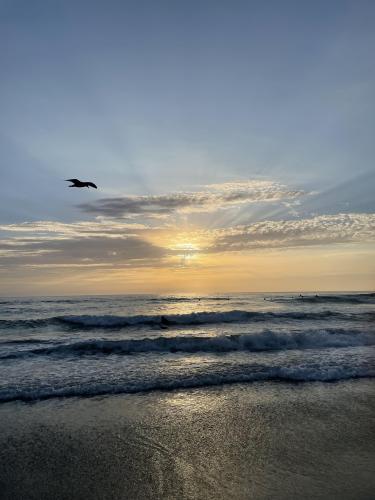 La Jolla beach,California baby!