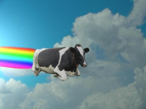 Flying Cow