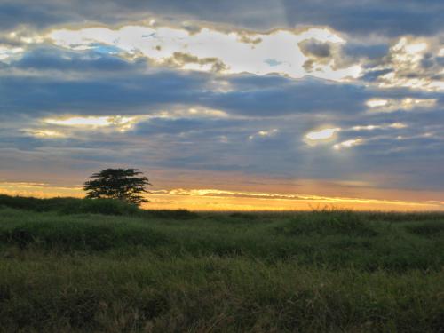 Australian sunrise. Giru, QLD