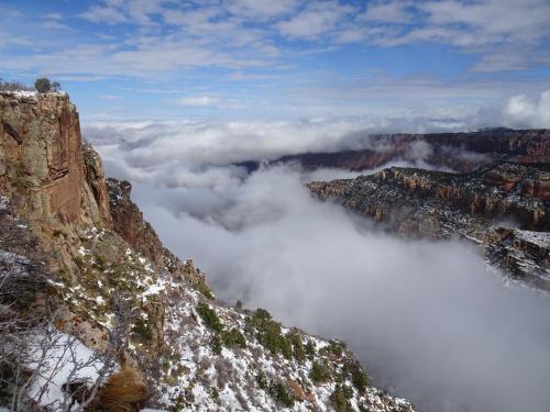 Bull Canyon Dinosaur Tracks Interpretive Site, UT, after a recent snowstorm, Oct. 2022