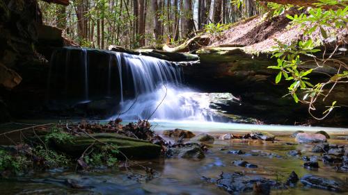 Pretty little waterfall on Pounder Branch Creek on my way to see Van Hook falls! London, KY