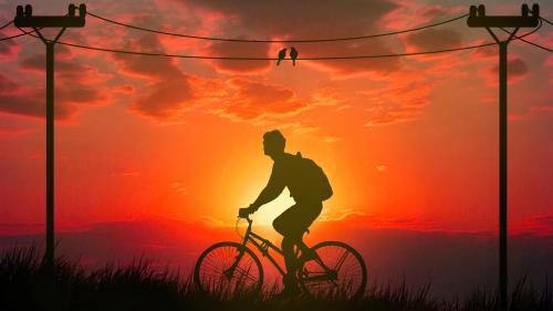 Morning bicycle ride