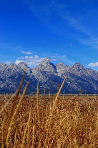 If there wasn't another reason to visit the Grand Tetons, Jackson WY