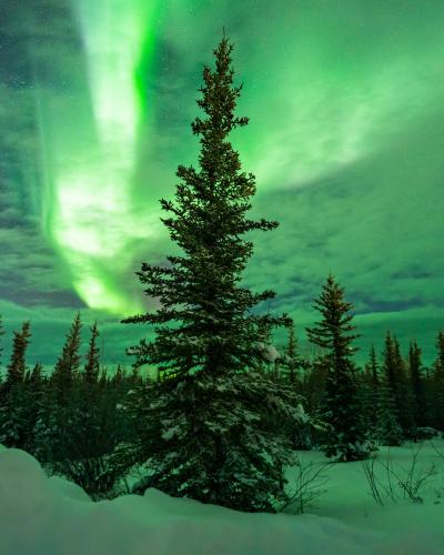 The Northern Lights from Fort Yukon, Alaska, this weekend