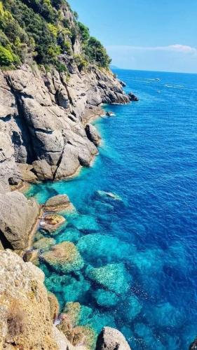 Beautiful shades of blue in Portofino