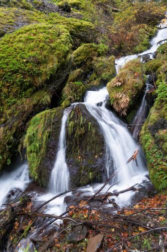 Found this beautiful flow of water while hiking in Oregon  @justwonshot