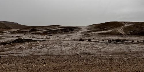 When the desert gets wet - somewhere near the Og Stream, Judaean Desert