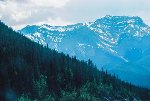 Forests and Mountains in Banff, Alberta