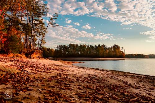 Fall at Lake Hartwell State Park SC