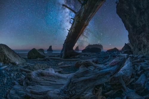 Night on Ruby Beach, Oregon