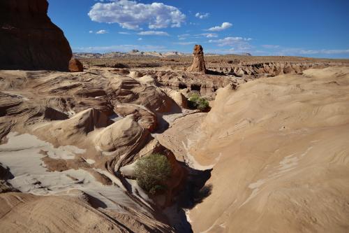 The Colorado Plateau