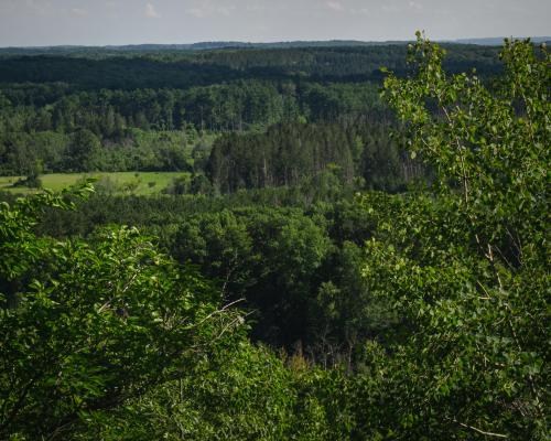 Kettle Moraine Forest, Wisconsin