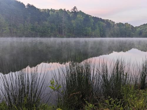 Unnamed lake, Georgia, USA