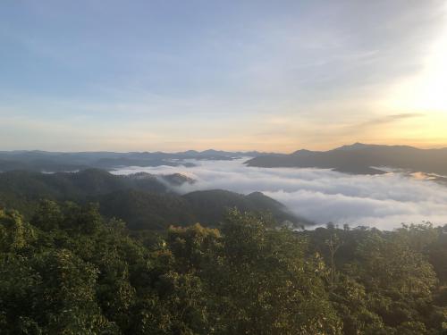 Da Lat Tram Hanh- Vietnam