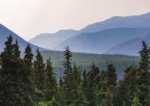 Denali National Park