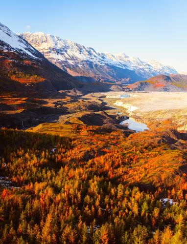 Fall in Alaska back country.