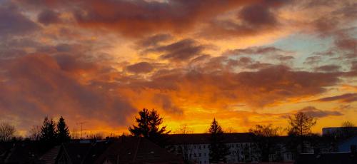 Sky on Fire 🔥 in Freiberg, Germany