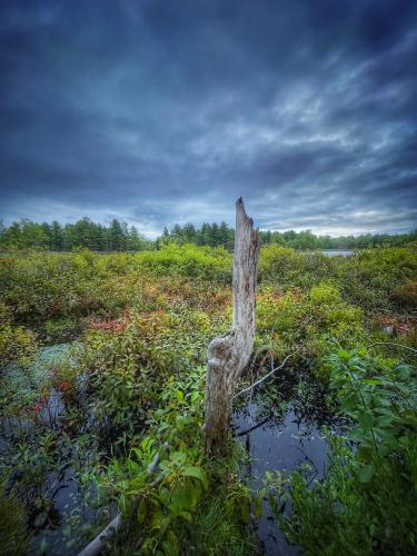 Frontenac Provincial Park, Ontario Canada