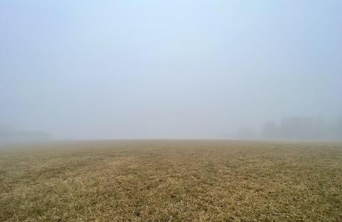 Winter Fog on a Golden Field in Downingtown, Pennsylvania [3768 x 2442