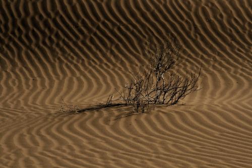 Desert Landscape scenery